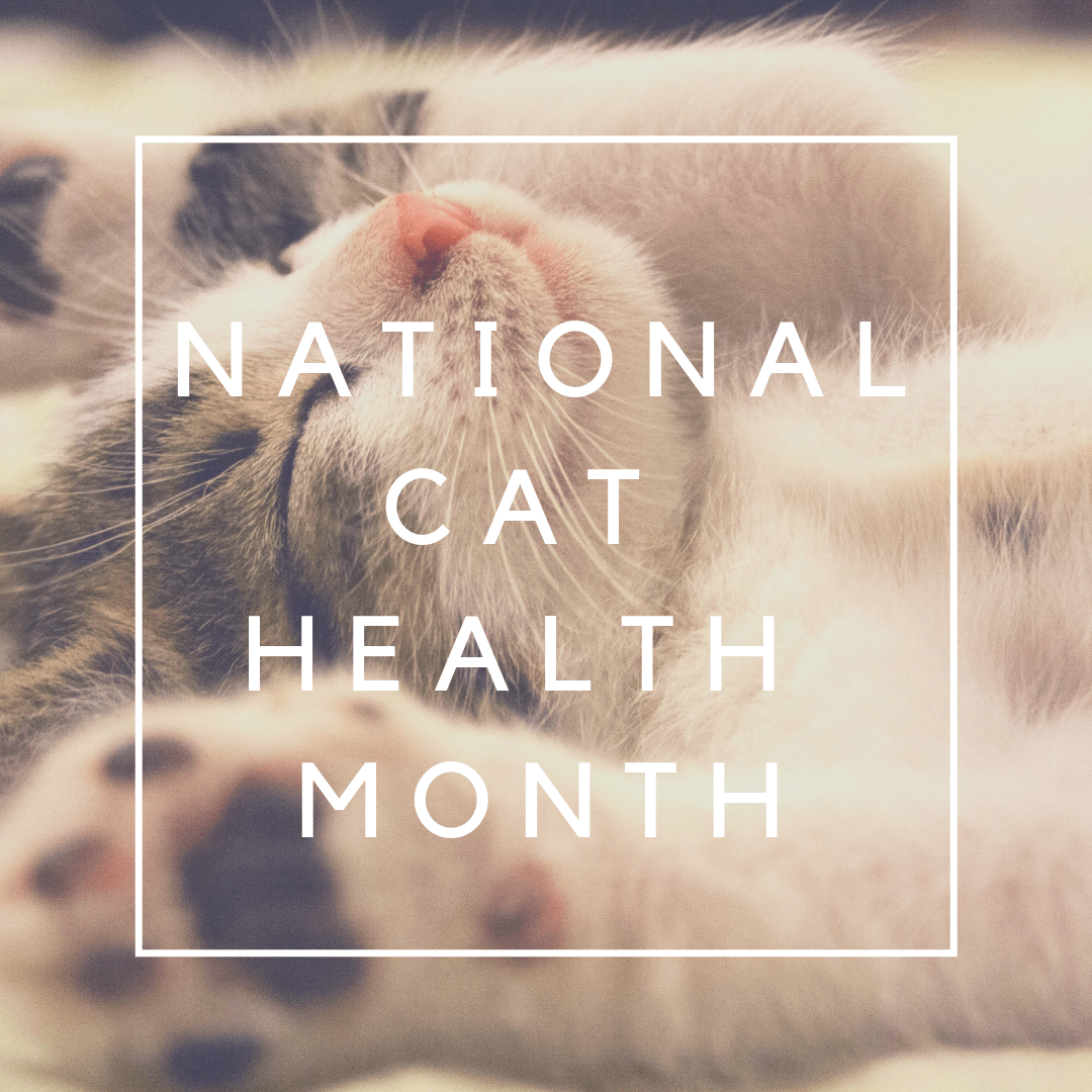NATIONALCAT HEALTH MONTH